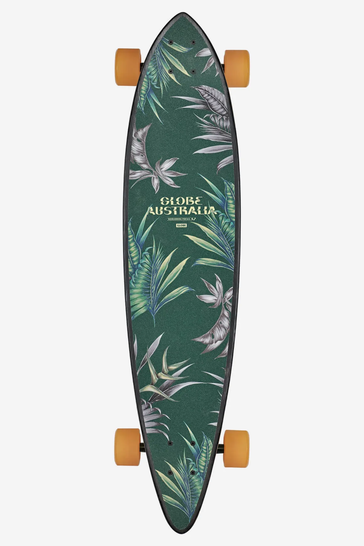 pintail__kookabura___longboard_kookaburra_3.webp Discount Pintail - Kookabura - 37" Longboard Longboards